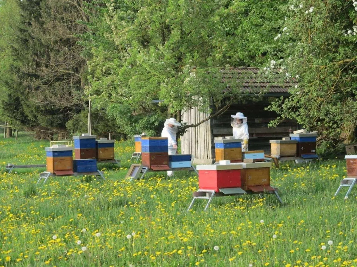 Das kleine Paradies Purgen Ferienhaus
